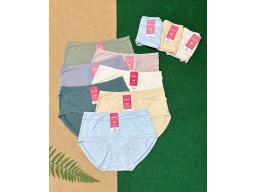 QUẦN KIM PHÁT 8810 - LỐC 10 CÁI